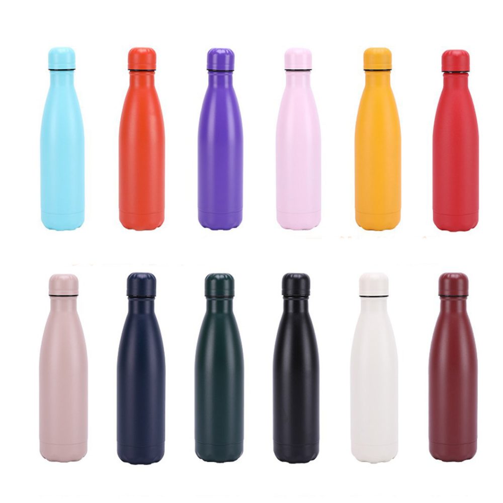 Insulated Stainless Steel Bottle