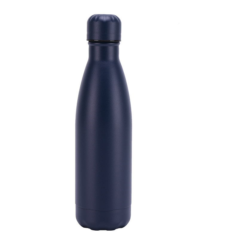 Insulated Stainless Steel Bottle