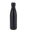 Insulated Stainless Steel Bottle