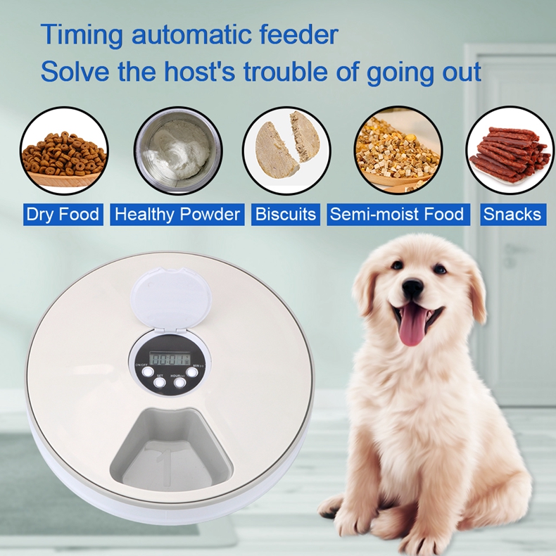 Timed Pet Feeder (6 Compartments) Timed Pet Feeder (6 Compartments)