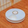Timed Pet Feeder (6 Compartments) Timed Pet Feeder (6 Compartments)